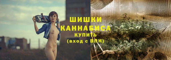 сатива Заволжье