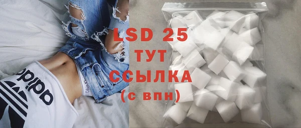 ПСИЛОЦИБИНОВЫЕ ГРИБЫ Заводоуковск