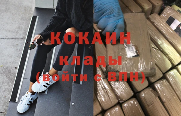 сатива Заволжье