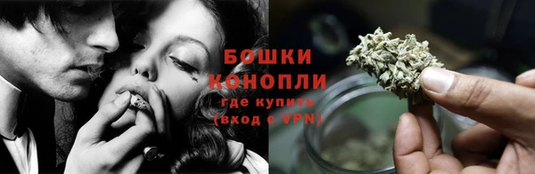 сатива Заволжье
