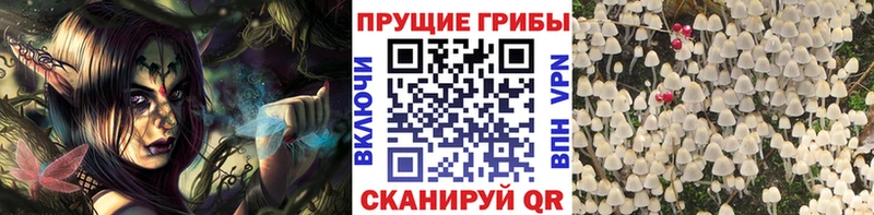 Галлюциногенные грибы прущие грибы  Купить  Певек 